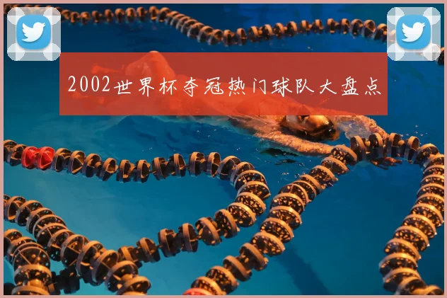 2002世界杯夺冠热门球队大盘点