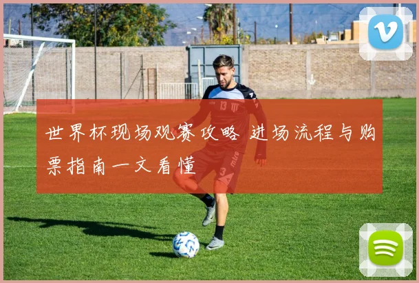 世界杯现场观赛攻略 进场流程与购票指南一文看懂