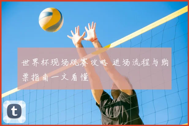世界杯现场观赛攻略 进场流程与购票指南一文看懂