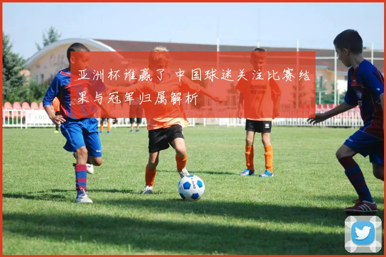 亚洲杯谁赢了 中国球迷关注比赛结果与冠军归属解析