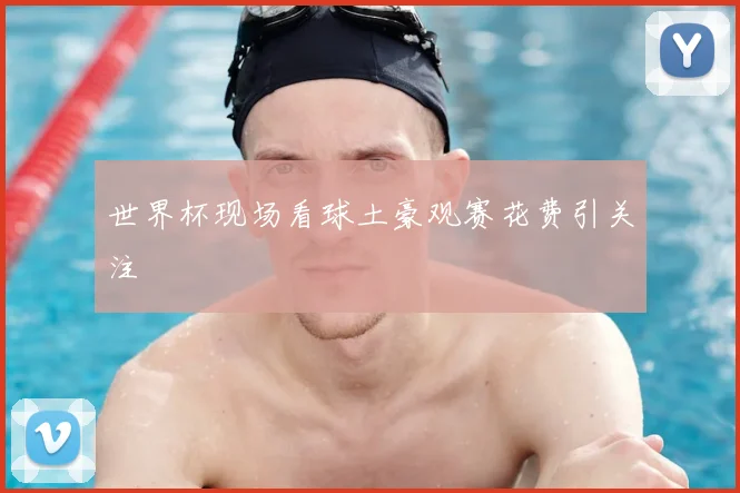 世界杯现场看球土豪观赛花费引关注