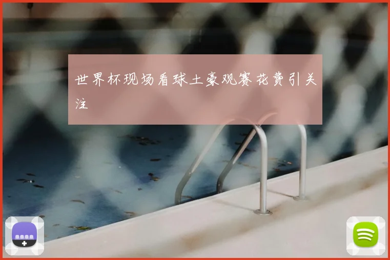 世界杯现场看球土豪观赛花费引关注
