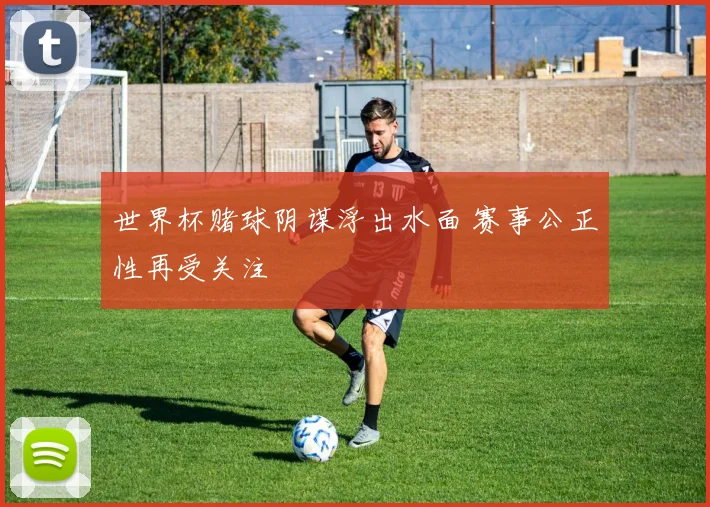 世界杯赌球阴谋浮出水面 赛事公正性再受关注