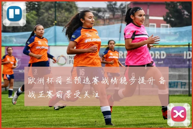欧洲杯荷兰预选赛战绩稳步提升 备战正赛前景受关注