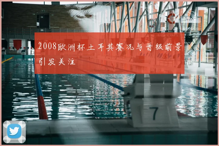 2008欧洲杯土耳其赛况与晋级前景引发关注
