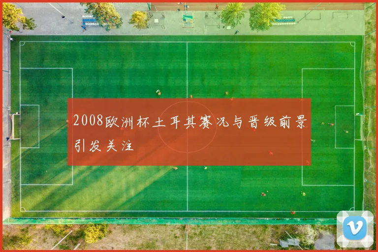 2008欧洲杯土耳其赛况与晋级前景引发关注